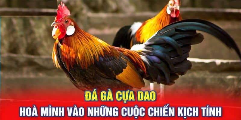 Những lưu ý khi hoà mình vào những trận đấu kịch tính