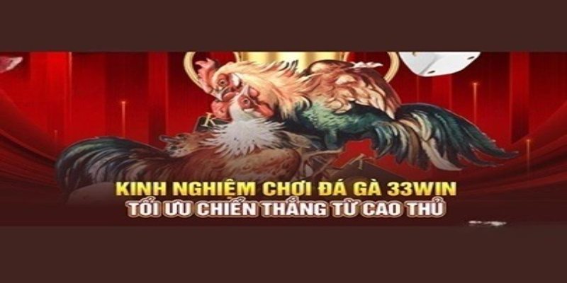 Mẹo chọn gà đòn của các cao thủ