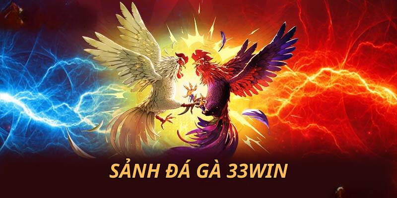 Các cách cơ bản để tham gia cá cược đá gà