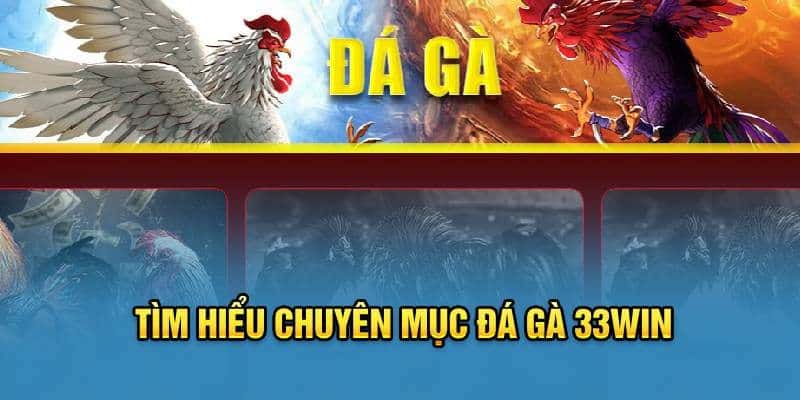 Tìm hiểu về chuyên mục đá gà 33win